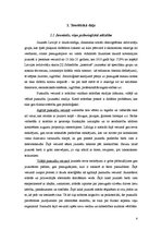 Referāts 'Sports kā brīvā laika pavadīšanas iespēja jauniešiem', 4.