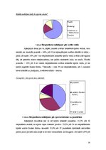 Referāts 'Sports kā brīvā laika pavadīšanas iespēja jauniešiem', 14.