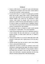 Referāts 'Sports kā brīvā laika pavadīšanas iespēja jauniešiem', 17.