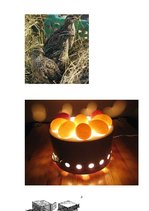 Referāts 'Paipalas', 2.