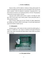 Referāts 'Paipalas', 11.