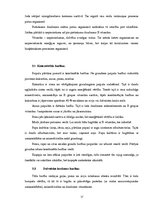 Referāts 'Paipalas', 17.