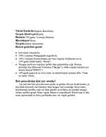 Referāts 'Grupa "Tumsa"', 4.