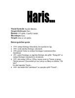 Referāts 'Grupa "Tumsa"', 7.