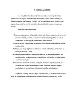 Biznesa plāns 'SIA "Lingo" tulkošanas aģentūra', 14.