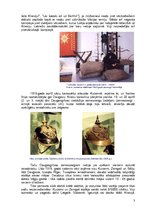 Konspekts 'Latvija Pirmā pasaules kara laikā', 3.