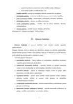 Referāts 'ĢImene kā sociālais institūts', 5.