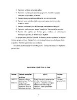 Prakses atskaite 'Aprūpes plāns. Demence', 13.