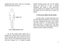 Konspekts 'Mehānika (statiskie spēki)', 3.