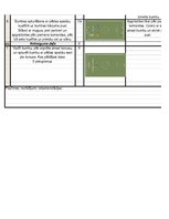 Konspekts 'Konspekts futbola nodarbībai', 3.