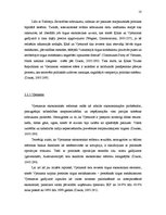 Referāts 'Reformas attīstības valstīs - Ķīnas un Vjetnamas gadījums', 10.