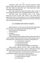 Diplomdarbs 'Budžeta plānošana un izpilde', 42.