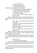 Diplomdarbs 'Budžeta plānošana un izpilde', 45.