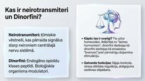 Prezentācija 'Dinorfīni', 2.