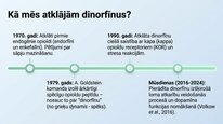 Prezentācija 'Dinorfīni', 3.