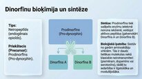Prezentācija 'Dinorfīni', 4.