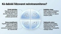 Prezentācija 'Dinorfīni', 10.