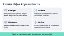 Prezentācija 'Dinorfīni', 12.