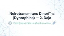 Prezentācija 'Dinorfīni', 13.
