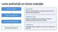 Prezentācija 'Dinorfīni', 14.