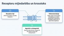 Prezentācija 'Dinorfīni', 17.