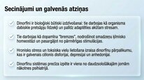 Prezentācija 'Dinorfīni', 24.