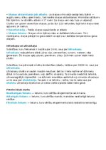 Konspekts 'Kopsavilkums par fizikas tēmu - skaņa', 3.