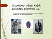 Prezentācija 'Apģērbs', 17.