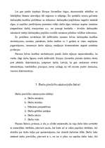 Referāts 'Migrācija', 8.