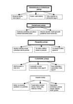 Referāts 'Vēstures un ģeogrāfijas stundās izmantojamās mācību metodes speciālajā skolā bēr', 3.