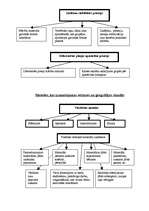 Referāts 'Vēstures un ģeogrāfijas stundās izmantojamās mācību metodes speciālajā skolā bēr', 4.