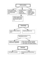 Referāts 'Vēstures un ģeogrāfijas stundās izmantojamās mācību metodes speciālajā skolā bēr', 7.