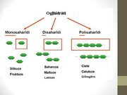 Prezentācija 'Ogļhidrāti', 5.