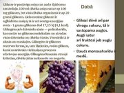 Prezentācija 'Ogļhidrāti', 6.