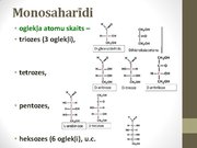 Prezentācija 'Ogļhidrāti', 10.
