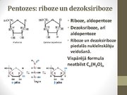 Prezentācija 'Ogļhidrāti', 11.