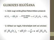 Prezentācija 'Ogļhidrāti', 24.