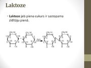 Prezentācija 'Ogļhidrāti', 31.