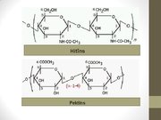 Prezentācija 'Ogļhidrāti', 42.