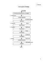 Referāts 'Cukura ražošanas tehnoloģija', 12.