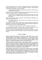 Referāts 'Personālā novērošanas process', 5.