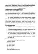 Referāts 'Kredītprocentu dinamika Latvijā laika posmā no 1998. līdz 2005.gadam', 10.