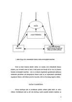 Referāts 'Kartupeļu audzēšana', 6.