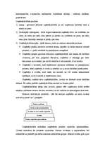 Referāts 'Uzņēmējdarbības formas Latvijā un to attīstība', 5.