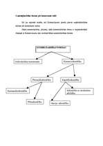 Referāts 'Uzņēmējdarbības formas Latvijā un to attīstība', 7.