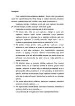 Referāts 'Uzņēmējdarbības formas Latvijā un to attīstība', 16.