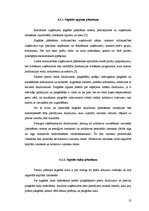 Referāts 'Uzņēmuma ražošanas līdzekļi, to sagāde', 11.