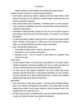 Referāts 'Bērnu psihiskā attīstība no dzimšanas līdz skolas vecumam', 13.