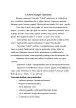 Biznesa plāns 'Viesu māja "Labrīt"', 4.