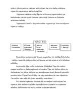 Biznesa plāns 'Viesu māja "Labrīt"', 7.